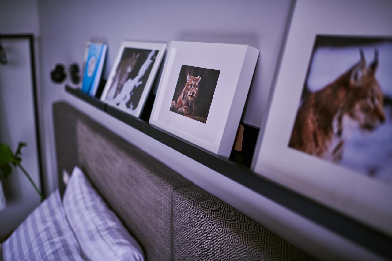 Barono Vila Butenai Dış mekan fotoğraf